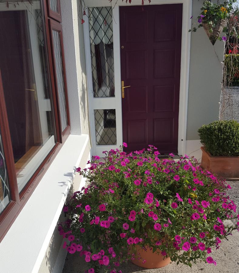 Ely House B&B Shannonbridge Kültér fotó