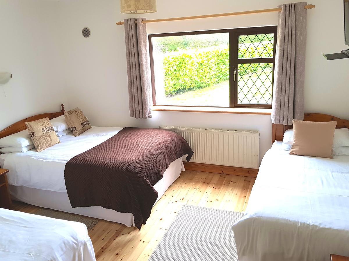 Ely House B&B Shannonbridge Kültér fotó